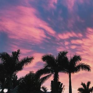 Meet your Posher, Ella